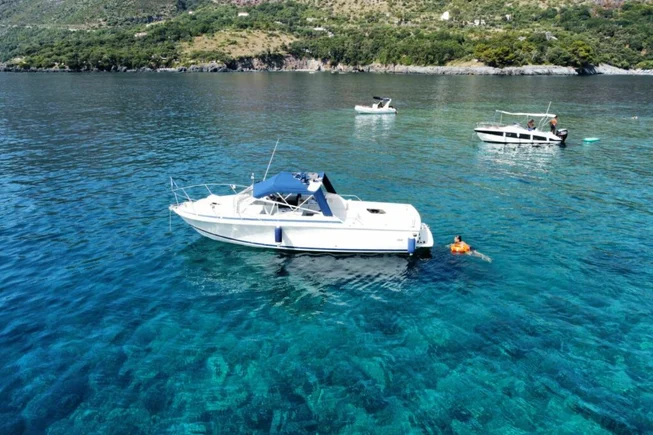 LOST MONEY 3.0 for charter and sale