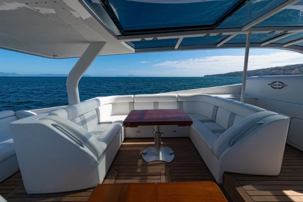 M/Y WHITE AND SILVER